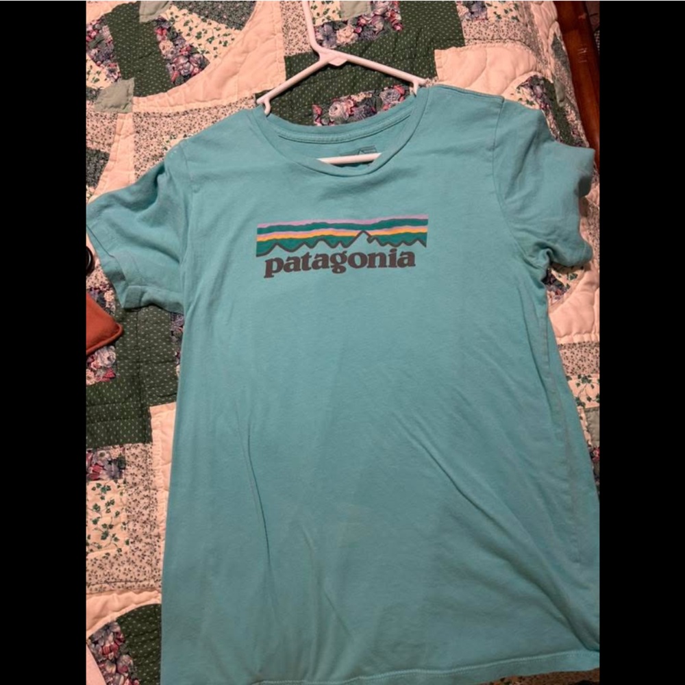 Patagonia Womens Teal Graphic Tee